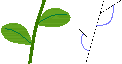 http://www.mathsgeo.net/rep/images/dpar09.gif