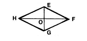 axe_centre_symetrie046