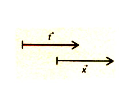 vec4