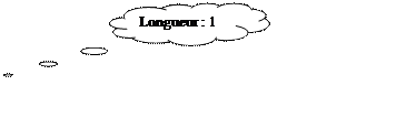Pensées: Longueur : 1