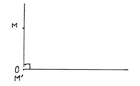 trigo003