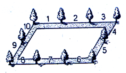 Iterv 1