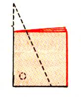 caré5