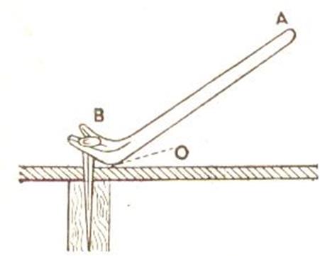 lev11