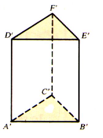 pdrtrian