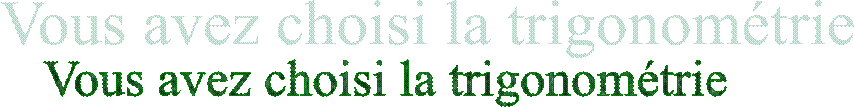 Vous avez choisi la trigonométrie