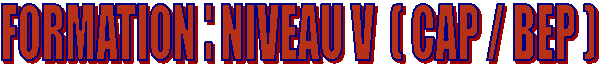 FORMATION : NIVEAU V ( CAP / BEP )