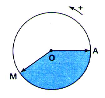 c24