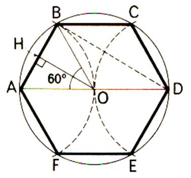hexaéquila