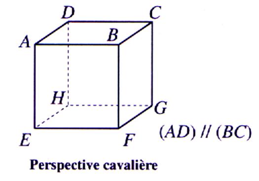 perspec2